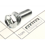 Sealey Phillips screw (c/w spring washer) m8x22