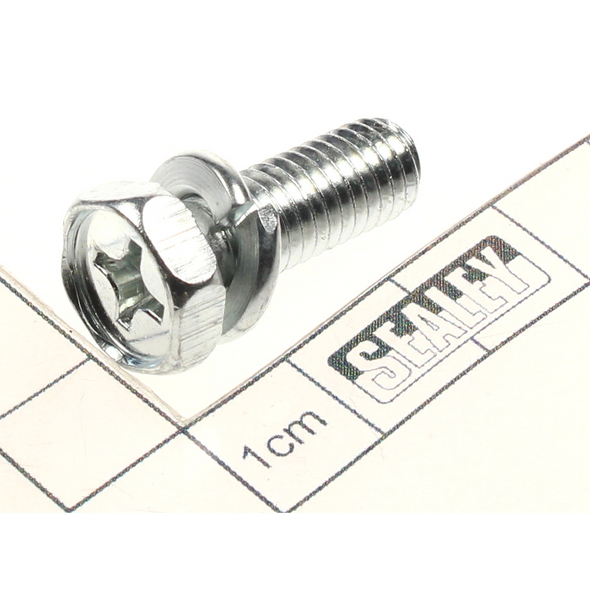 Sealey Phillips screw (c/w spring washer) m8x22