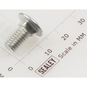 Sealey Coach bolt m6x12mm (single)