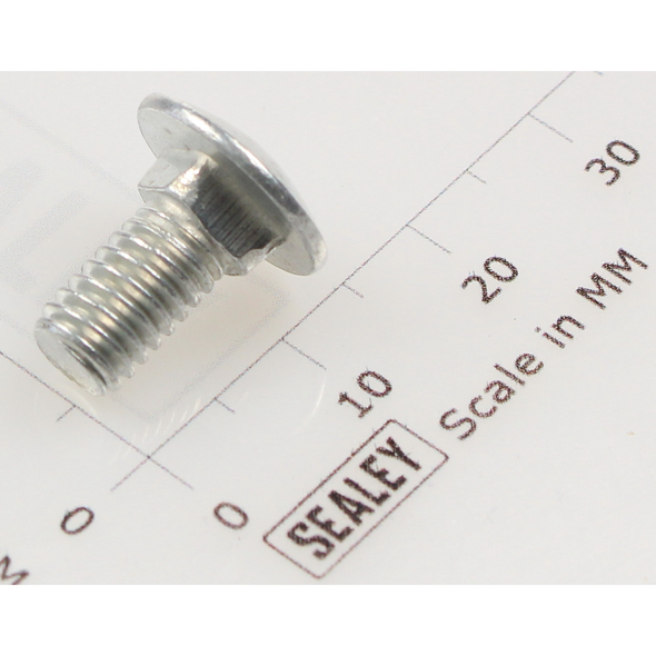 Sealey Coach bolt m6x12mm (single)