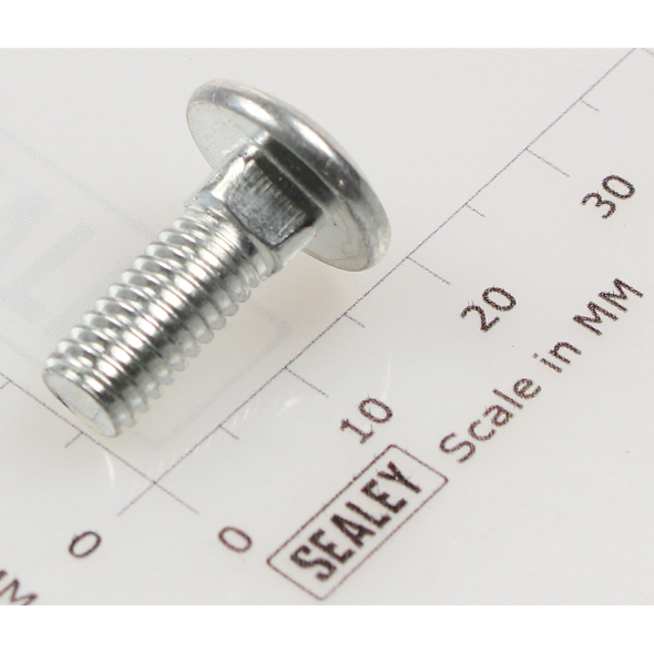 Sealey Coach bolt m6x16mm (single)