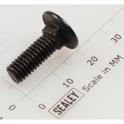 Sealey Coach bolt m6x18mm black