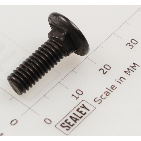 Sealey Coach bolt m6x18mm black