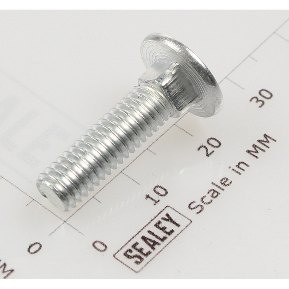 Sealey Coach bolt m6x22mm (single)