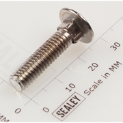 Sealey Coach bolt m6x25mm (single)