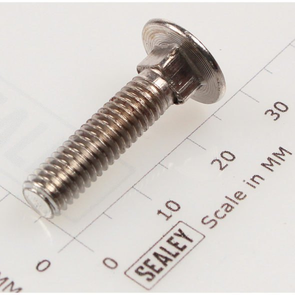 Sealey Coach bolt m6x25mm (single)