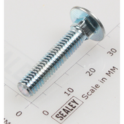 Sealey Coach bolt m6x30mm (single)