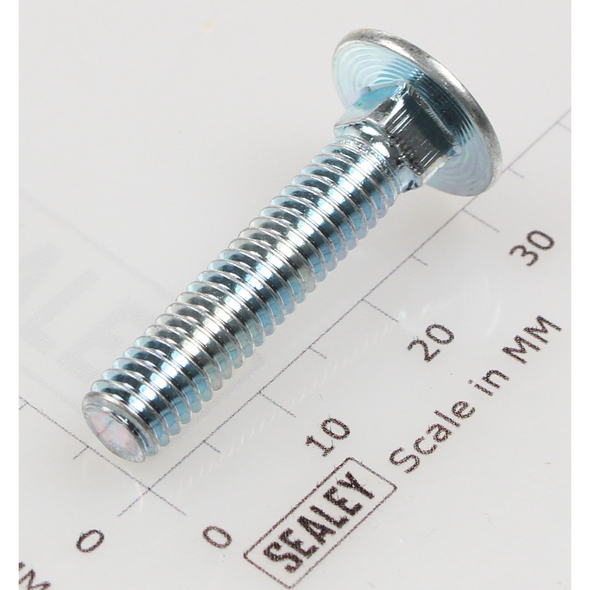 Sealey Coach bolt m6x30mm (single)