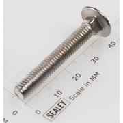 Sealey Coach bolt m6x40mm (single)