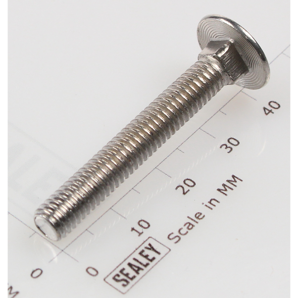 Sealey Coach bolt m6x40mm (single)