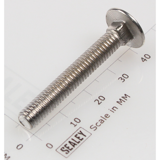 Sealey Coach bolt m6x40mm (single)