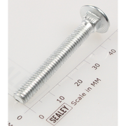 Sealey Coach bolt m6x45mm (single)