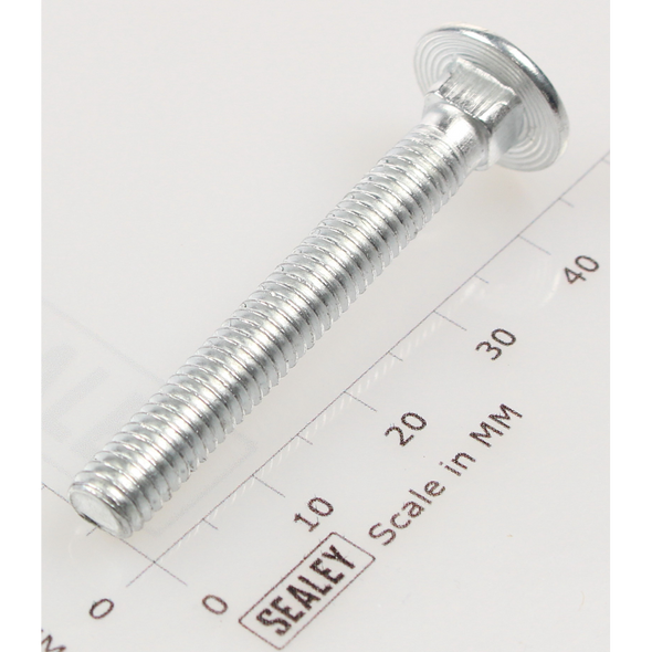 Sealey Coach bolt m6x45mm (single)