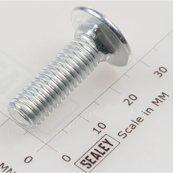 Sealey Coach bolt m8x25