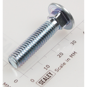 Sealey Coach bolt m8x35mm (single)