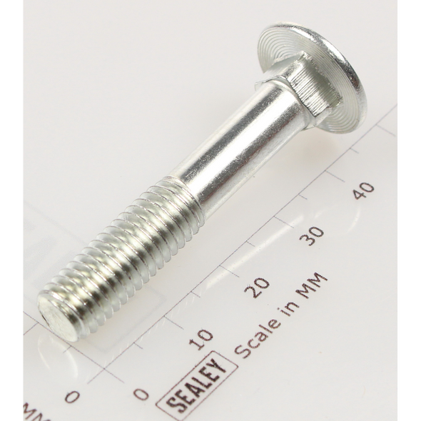 Sealey Coach bolt m8x45mm (single)