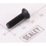 Sealey Chuck screw
