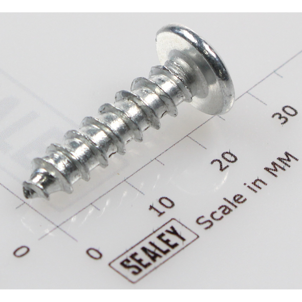 Sealey Rd head s/t screw m6x25