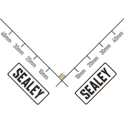 Sealey Magnet