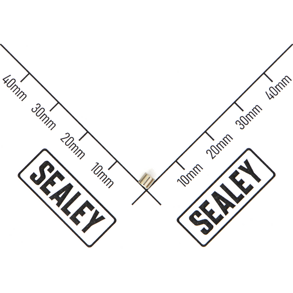 Sealey Magnet