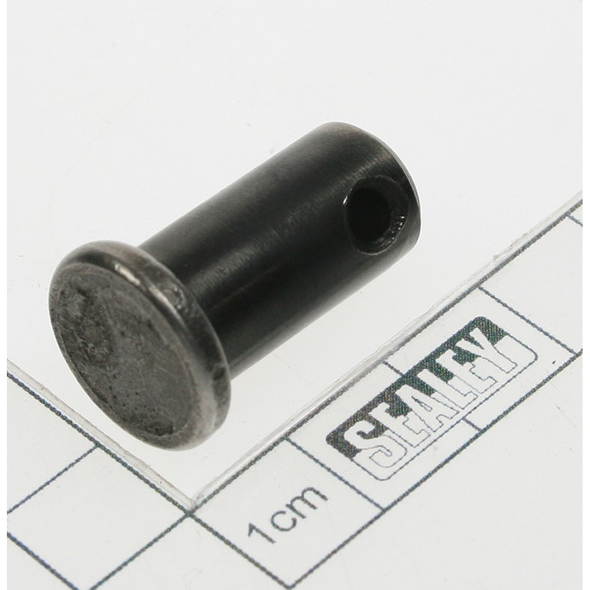 Sealey Pin