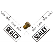 Sealey Injector Φ0.76