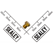 Sealey Injector Φ0.51