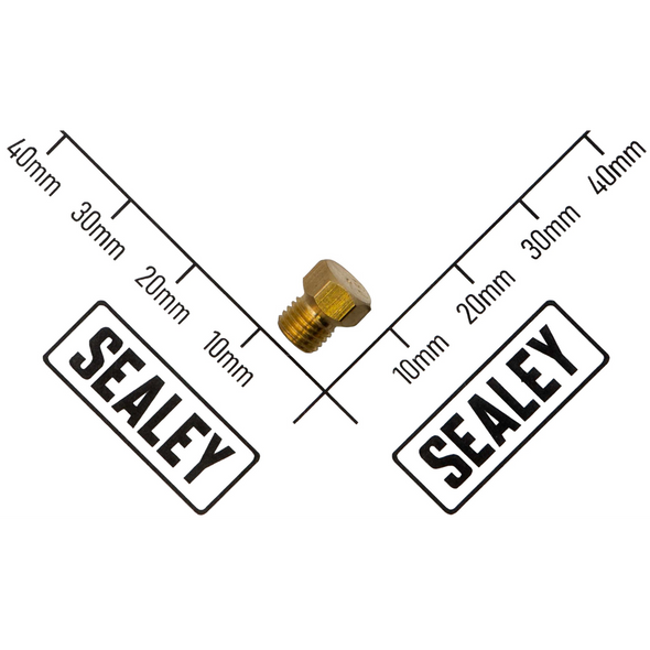 Sealey Injector Φ0.51