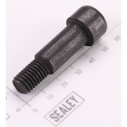 Sealey Anti-Vibraction Screw