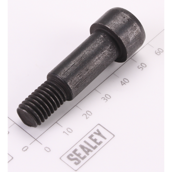 Sealey Anti-Vibraction Screw