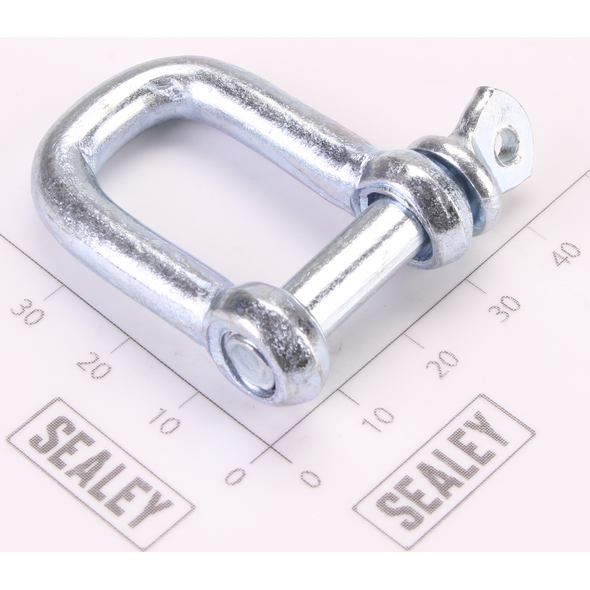 Sealey Shackle
