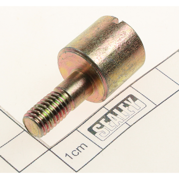 Sealey Screw (m18x38)