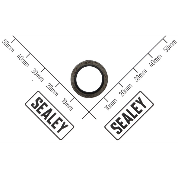 Sealey Gasket (m12)