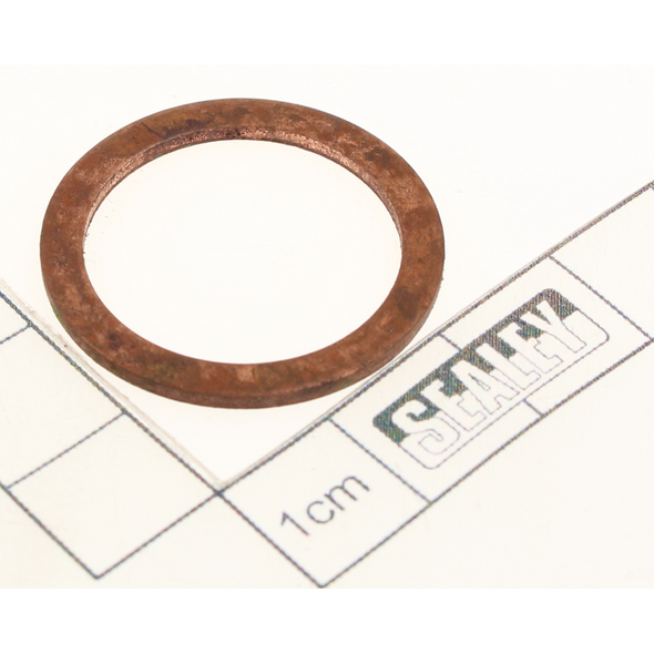Sealey Gasket (28.3x1.5)