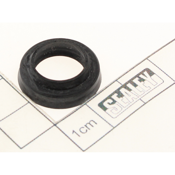 Sealey Wiper seal (21x6)