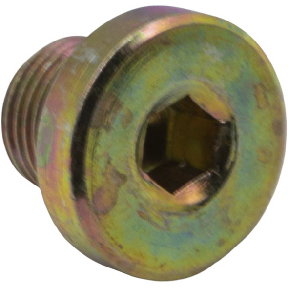 Sealey Plug Screw