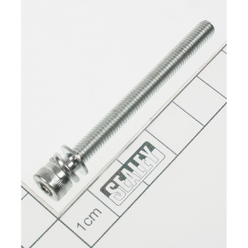 Sealey Screw