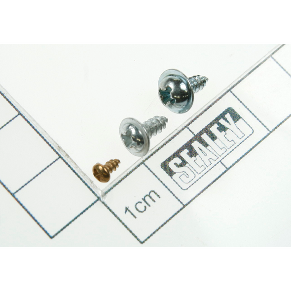Sealey Screw set