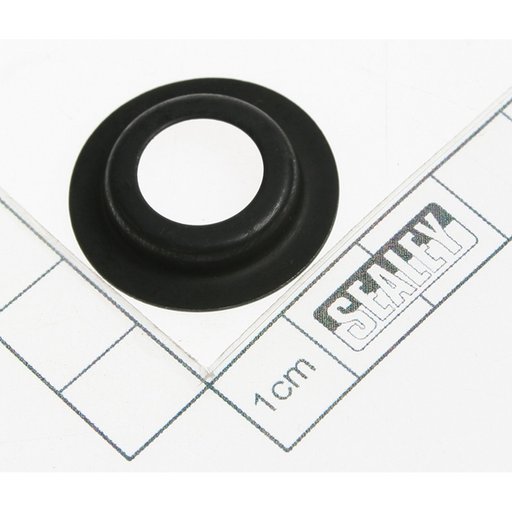 Sealey Spring retainer