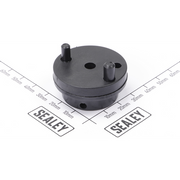 Sealey Valve Plate Assembly