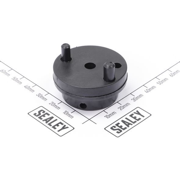 Sealey Valve Plate Assembly