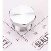 Sealey End Plug