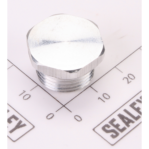 Sealey End Plug