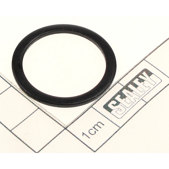 Sealey Gasket
