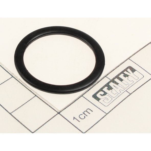 Sealey Gasket