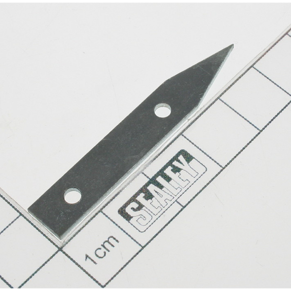 Sealey Pointer