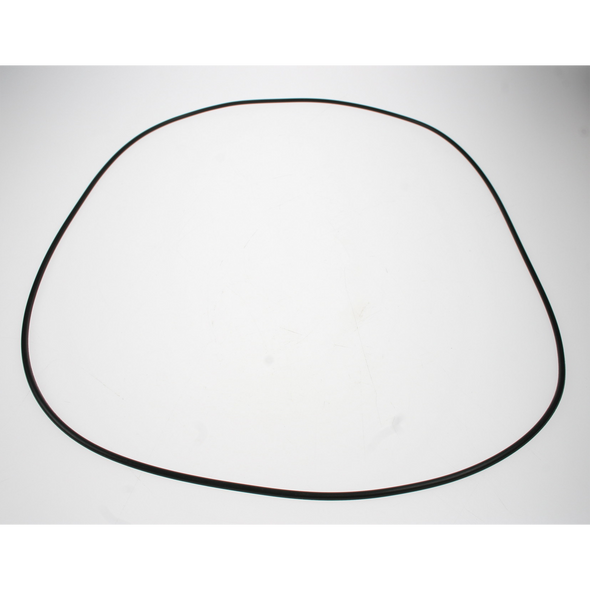 Sealey O-ring (300*3.1)