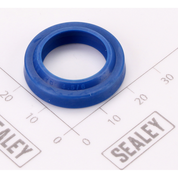 Sealey Dust ring