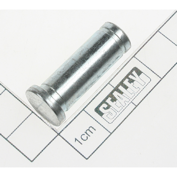 Sealey Pin