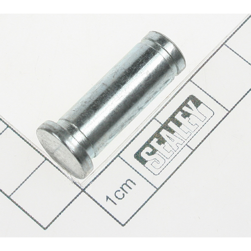 Sealey Pin